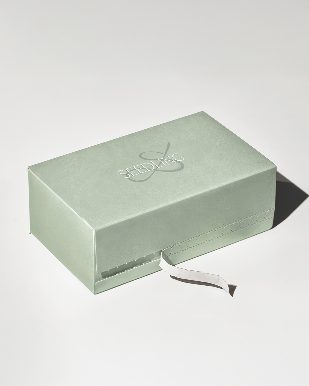 Green Seed Cycling Kit Seedling