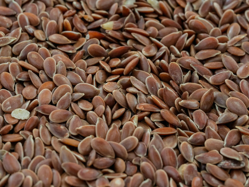 Flax Seeds