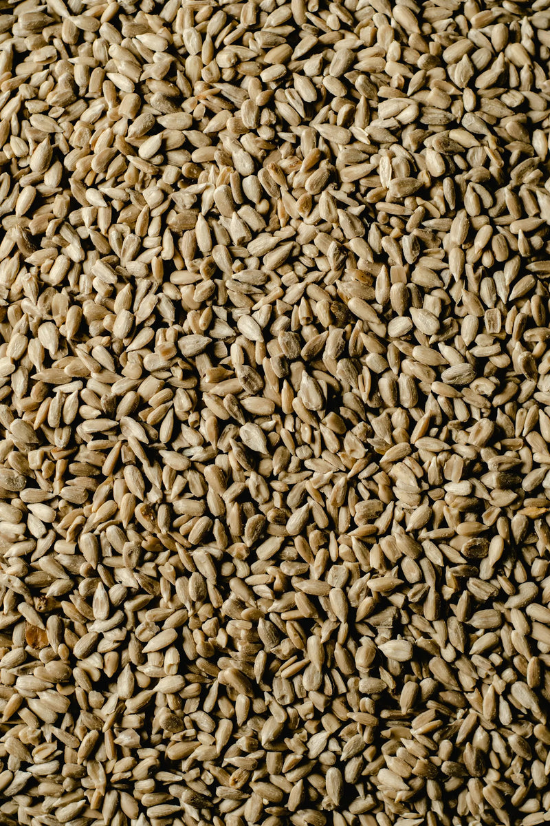 Sunflower Seeds